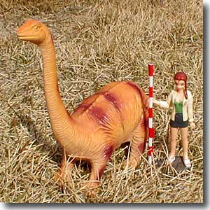 �A�p�g�T�E���X