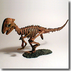 �X�e�S�P���X