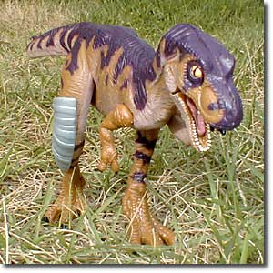 �W���j�A T-���b�N�X