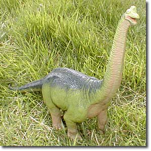 �u���L�I�T�E���X