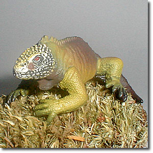 �K���p�S�X�C�O�A�i