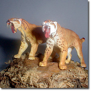 �X�~���h��