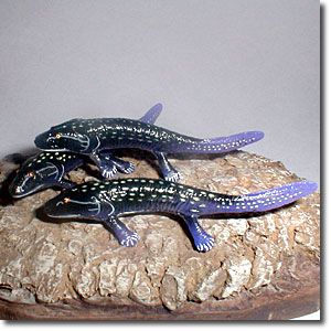 �A�J���g�X�e�K