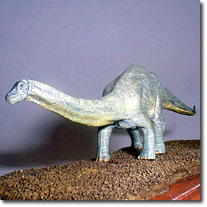 �A�p�g�T�E���X