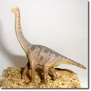 �u���L�I�T�E���X