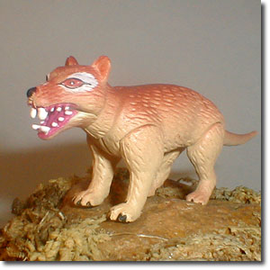 �^�X�}�j�A�^�C�K�[