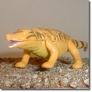 �N�C���J�i