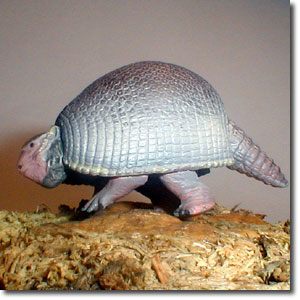 �O���v�g�h��