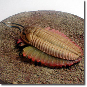 �g���A���c���X