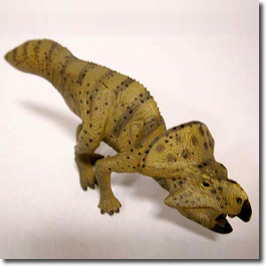 �v���g�P���g�v�X