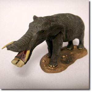 �v���e�B�x���h��