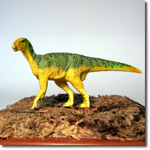 �C�O�A�m�h��