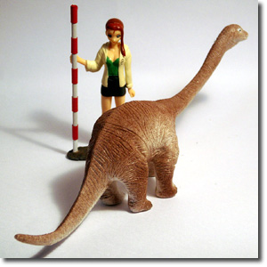 �A�p�g�T�E���X