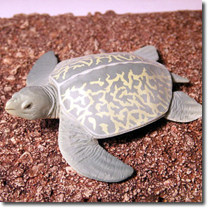 �A�[�P����