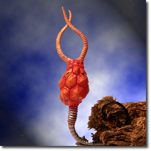 �v���E���L�X�`�e�X