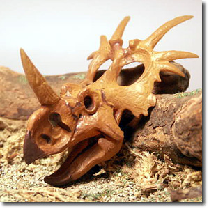 �X�e�B���R�i�����j