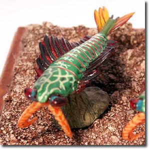 �A�m�}���J���X