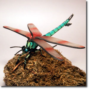 ���K�l�E��