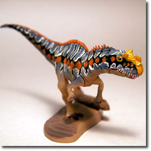 �P���g�T�E���X