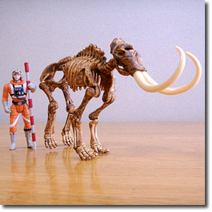 �}�����X