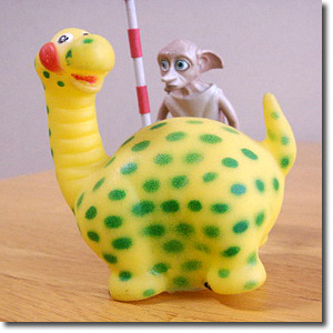 �A�p�g�T�E���X