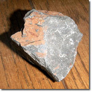 ���w�Q�̊��