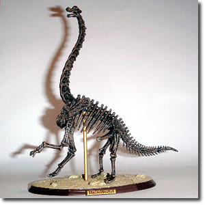 �u���L�I���i�p�Y��