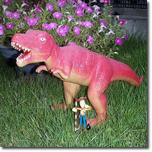 ��炩�e�B���m