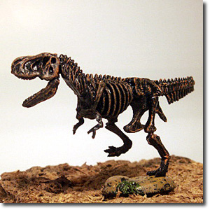 �e�B���m�i���i�j