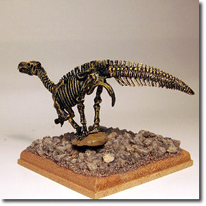 �C�O�A�m�h���i���i�j