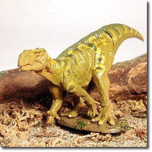 �C�O�A�m�h��