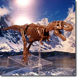 �e�B���m���i