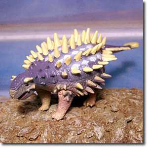 �T�C�J�j�A