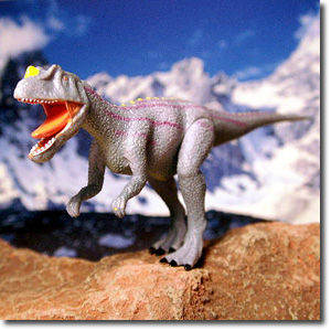 �P���g�T�E���X