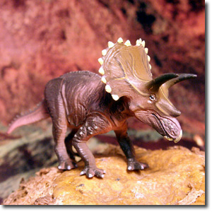 �g���P���g�v�X