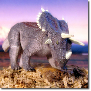 �y���^�P���g�v�X