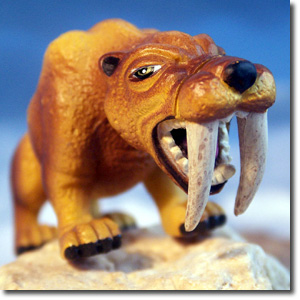 �X�~���h��