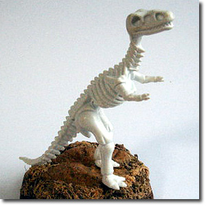 ���i�e�B���m