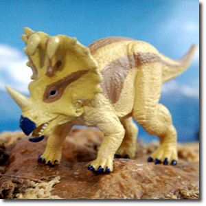 �Z���g���T�E���X