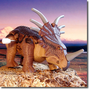 �X�`���R�T�E���X