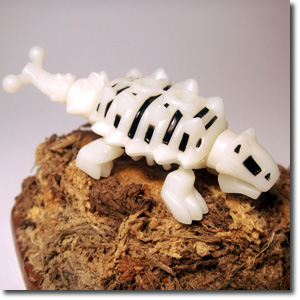 �A���L���T�E���X