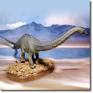 �Z�C�X���T�E���X