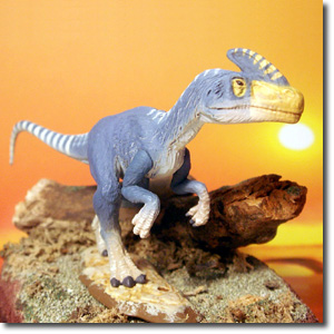 �O�A������