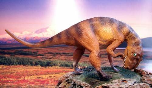 �����`���A�m�T�E���X