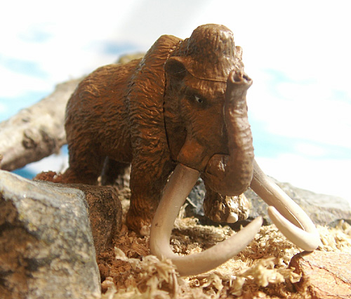 �}�����X