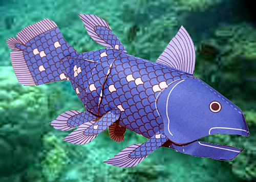 �V�[���J���X