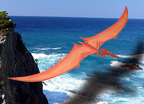 �P�c�@���R�A�g���X