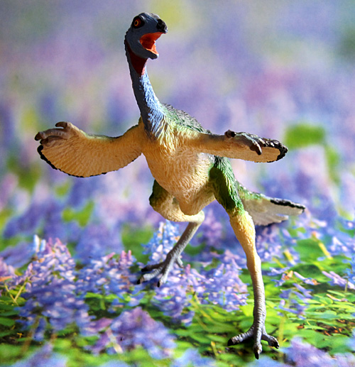 �J�E�f�B�v�e���N�X