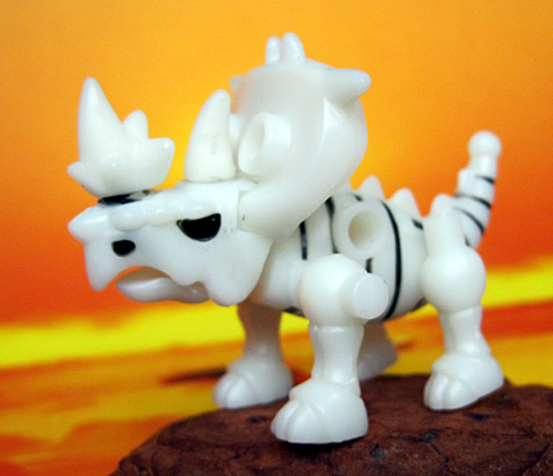 �p�L���m�T�E���X