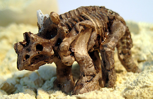 �g���T�E���X